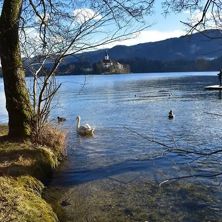 Apartmán Harmonija Bled