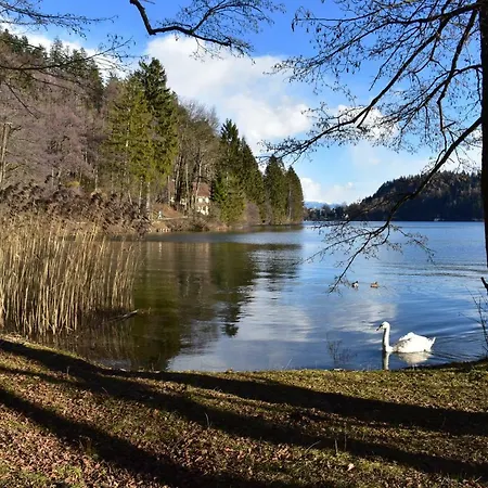 Harmonija Apartma Bled